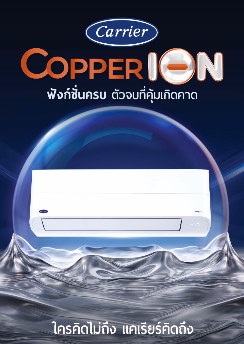 🔥NEW 2026 🔥 Copper ION TVEB Inverter