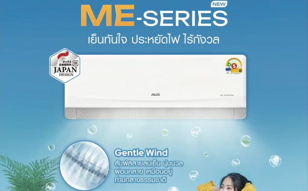 AUX INVERTER ME Series