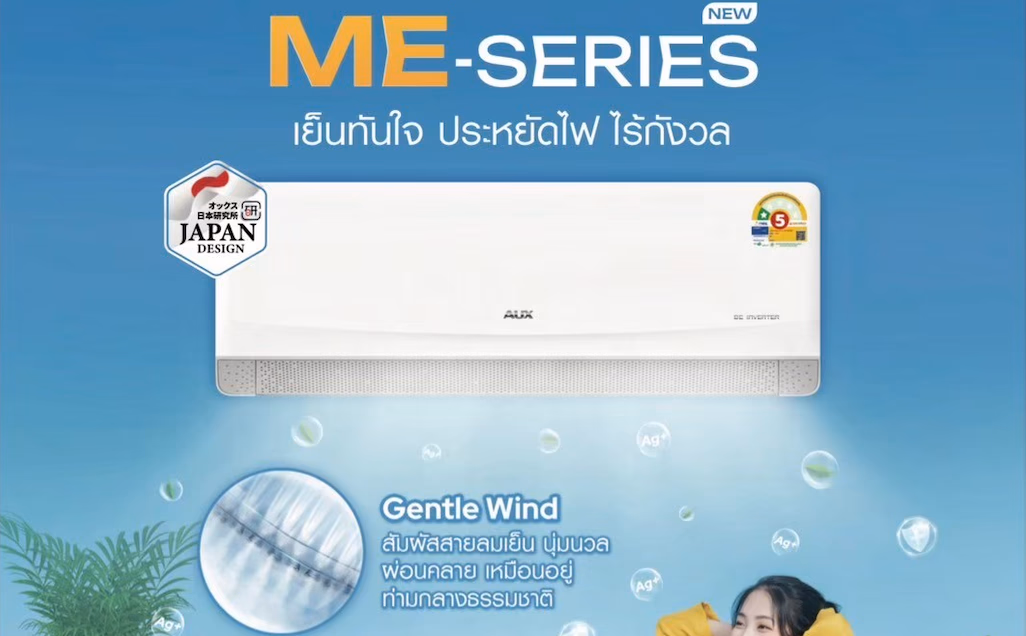 AUX INVERTER ME Series